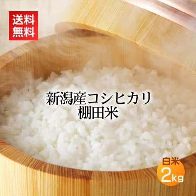 新潟コシヒカリ 棚田米 白米・精米 2kg／令和6年産 米 お米 新潟米 新潟産 コシヒカリ こしひかり 2キロ 送料無料